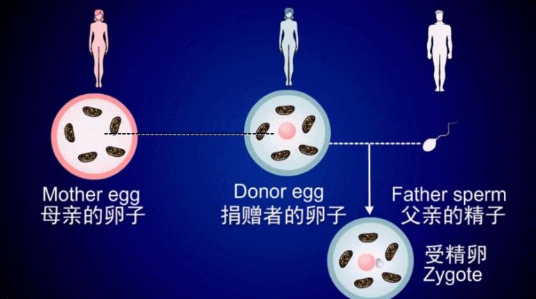 张晨光连送4年玫瑰追到现任妻子，两儿子是借卵试管婴儿