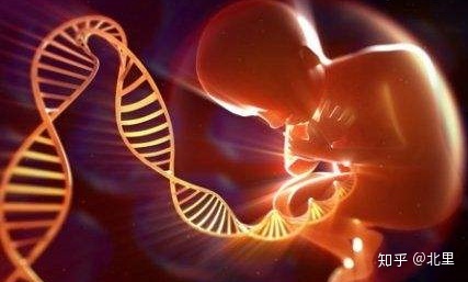 江西南昌赠卵试管婴儿医院是如何排名的