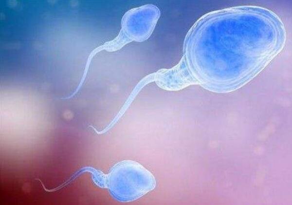 有疤痕的子宫可以做供卵试管婴儿吗？