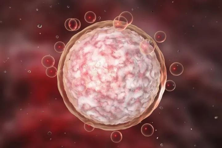 江西南昌供卵试管婴儿医院哪家好？