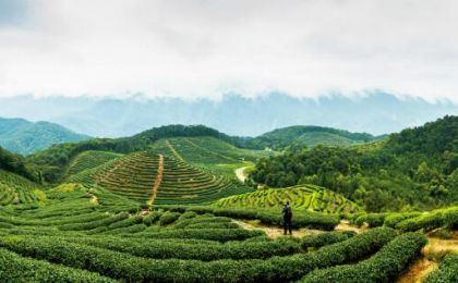 免疫性不孕症的供卵试管婴儿是否成功？成功率是有限的