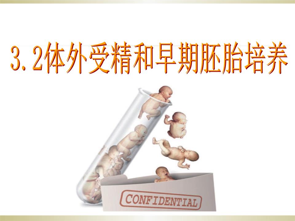 供卵试管婴儿诱导期间的食谱!我很后悔没有读它!