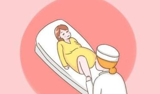 有没有人在上海红房子做过做供卵生子代生试管？我如何注册？它的费用是多少？我很感激