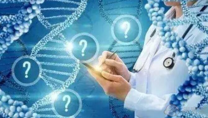 做借卵生子自怀试管新鲜胚胎和冷冻胚胎：导致胚胎发育不良的原因有哪些？