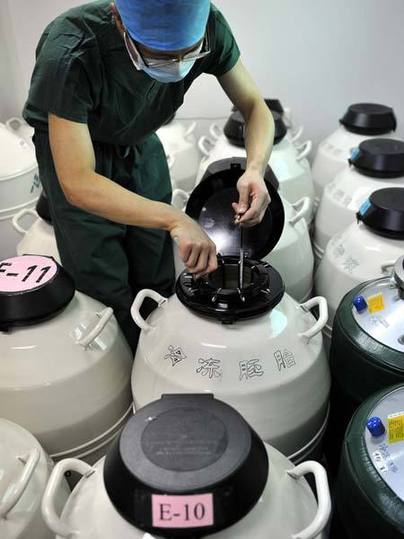 在借卵做供卵试管公立治疗的哪个阶段必须做B超？
