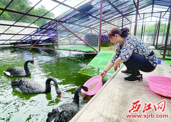 40岁了还能做供卵试管吗