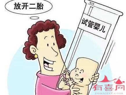 卵巢功能差怎么调理做供卵试管