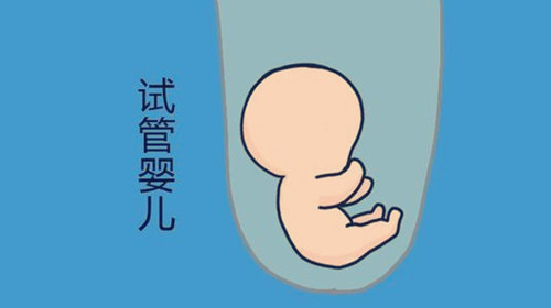 第三代供卵做试管是囊胚还是冻胚