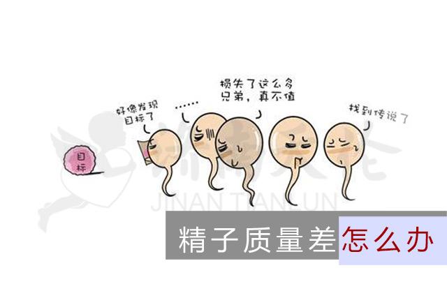 第四代试管婴儿好处