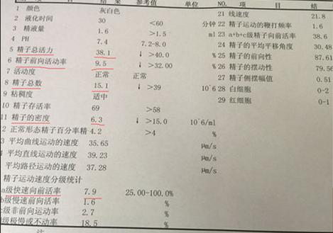 我在私人医院做了试管婴儿