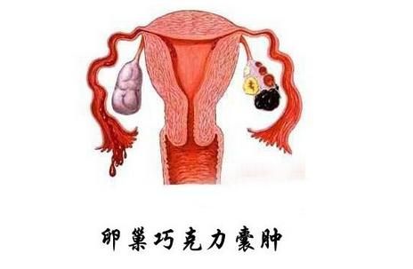 试管之后吃什么菜容易着床