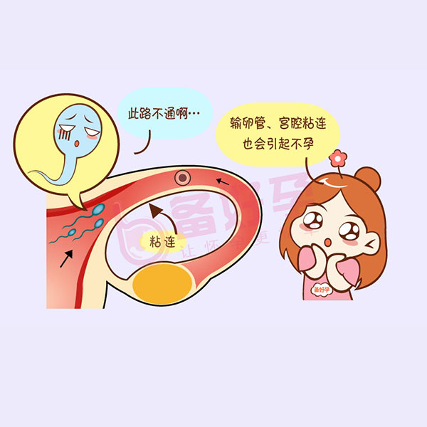 做试管婴儿第一次检查什么时候去