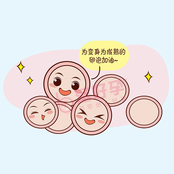 少精做试管成功率