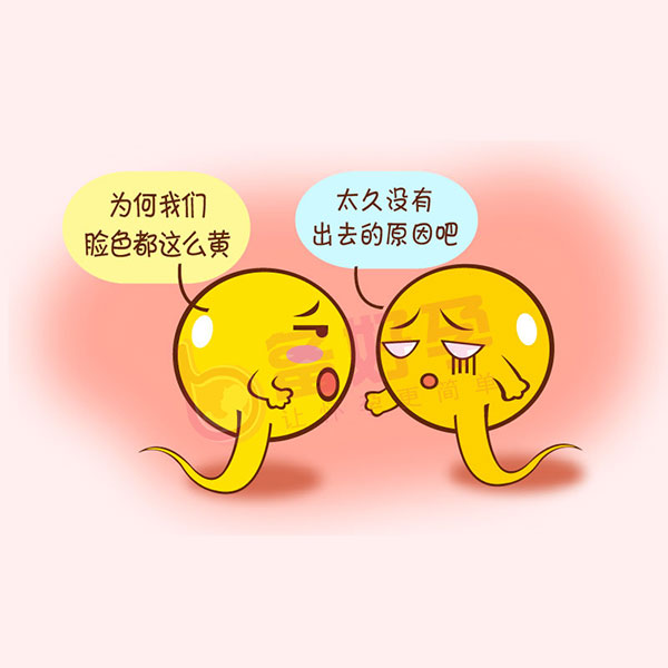 试管之前女性如何调理