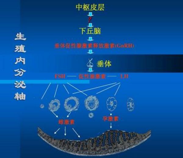 江西南昌人工授精全流程走完总共要花费多少钱？