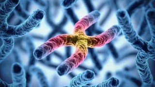 江西南昌能做供卵试管代怀机构大约多少钱能成功？