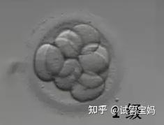 南昌三代供卵试管代怀包生男孩成功率比较高的正规医院在哪里？