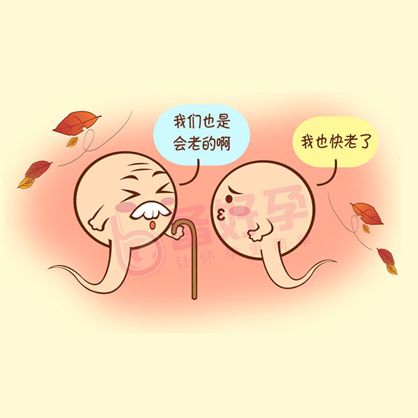 南昌和睦家医院的收费是多少（和睦家助孕代生机构婴儿需要什么条件+）