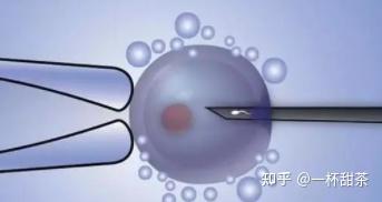 试管代怀产子知识哪个医院好只找和万家