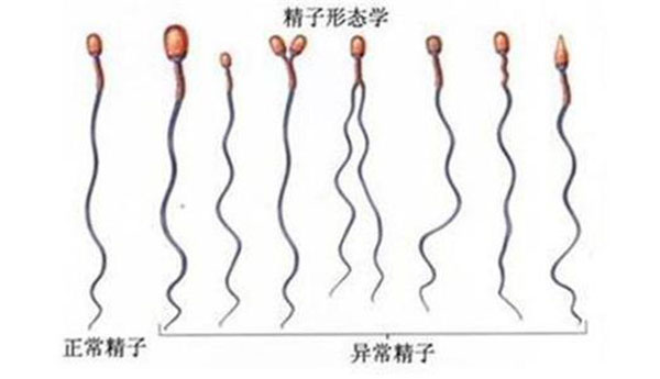 我想供卵代怀老公死活不愿意+代生宝宝价格老公不心疼自