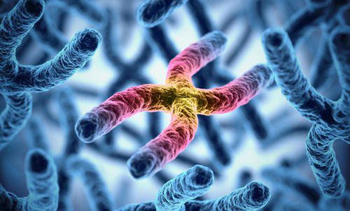 江西南昌大学第一附属医院试管专家全面解析代生孩子哪里好这些问题早知道