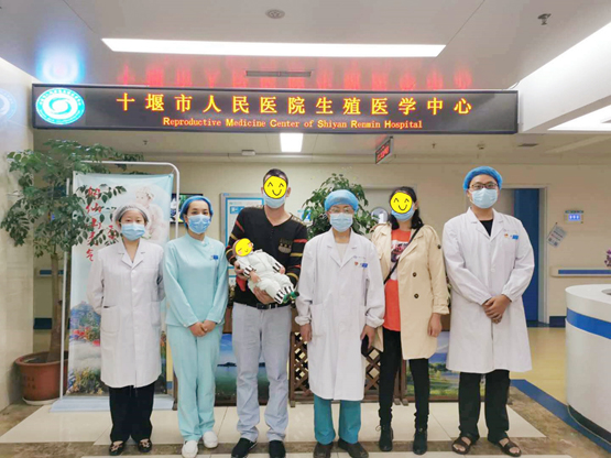 试管代怀需要哪些程序的具体过程