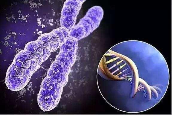 南昌协和供卵三代自怀代怀+南昌协和代怀妈妈应聘经历