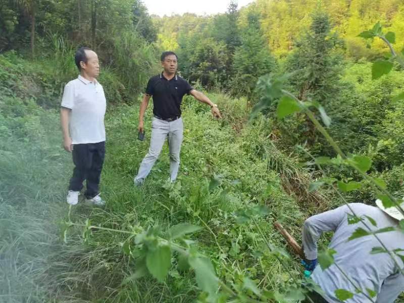用精子库的精子帮人试管代怀产子费用婴儿流程都有什么（供精试管流程一览）