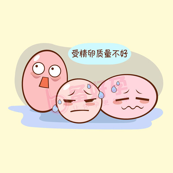 「男人多吃什么能生男孩」南昌供卵代怀医院费用高吗