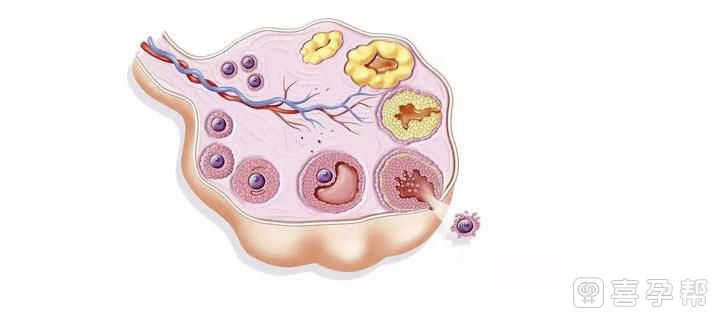 精子库被调包+南昌省人类精子库
