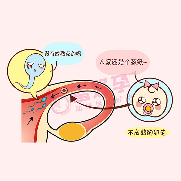 南昌市人民医院排队女人试管代怀婴儿费用需要多少