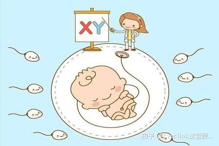 14到15mm的卵泡能用作哪里有做试管代怀周期里吗