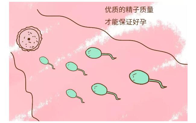 2024年国内公立供卵试管医院婴儿流程介绍（附上成功率）
