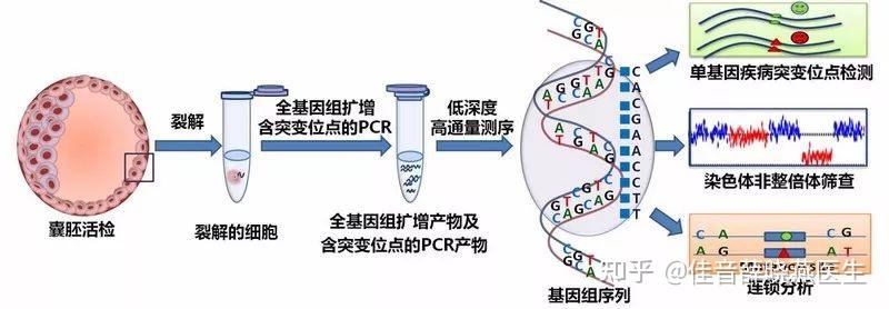 2024可以供卵试管能包生男孩的医院婴儿医院推荐,这份名单值得收藏