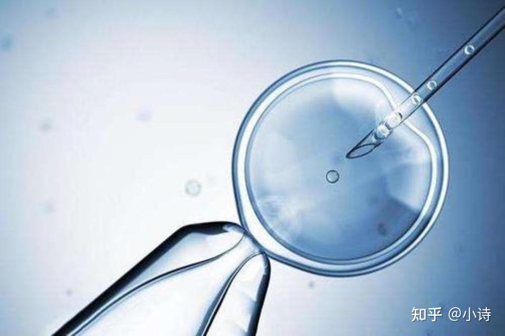 2024南昌三代试管生孩子费用多少（附试管代怀生男孩费用一览!）