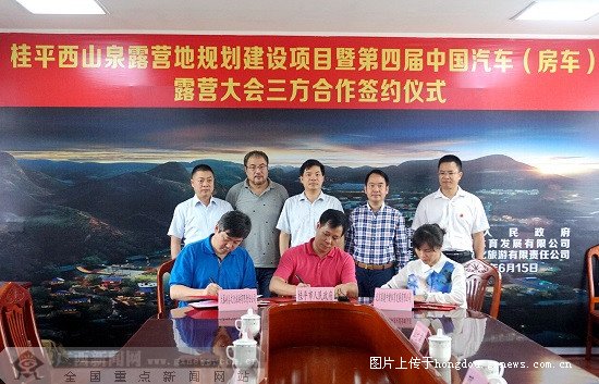 试管吃什么对卵泡好