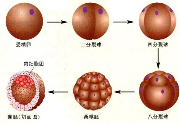 2024年江西南昌三代试管比较好的医院到底是哪家