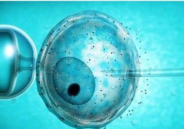 2024年江西南昌省妇幼保健院南昌代生生男孩成功率高吗