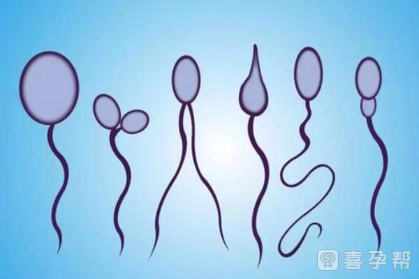 2024南昌高试管成功率医院排名,中心医院、妇幼院皆上榜