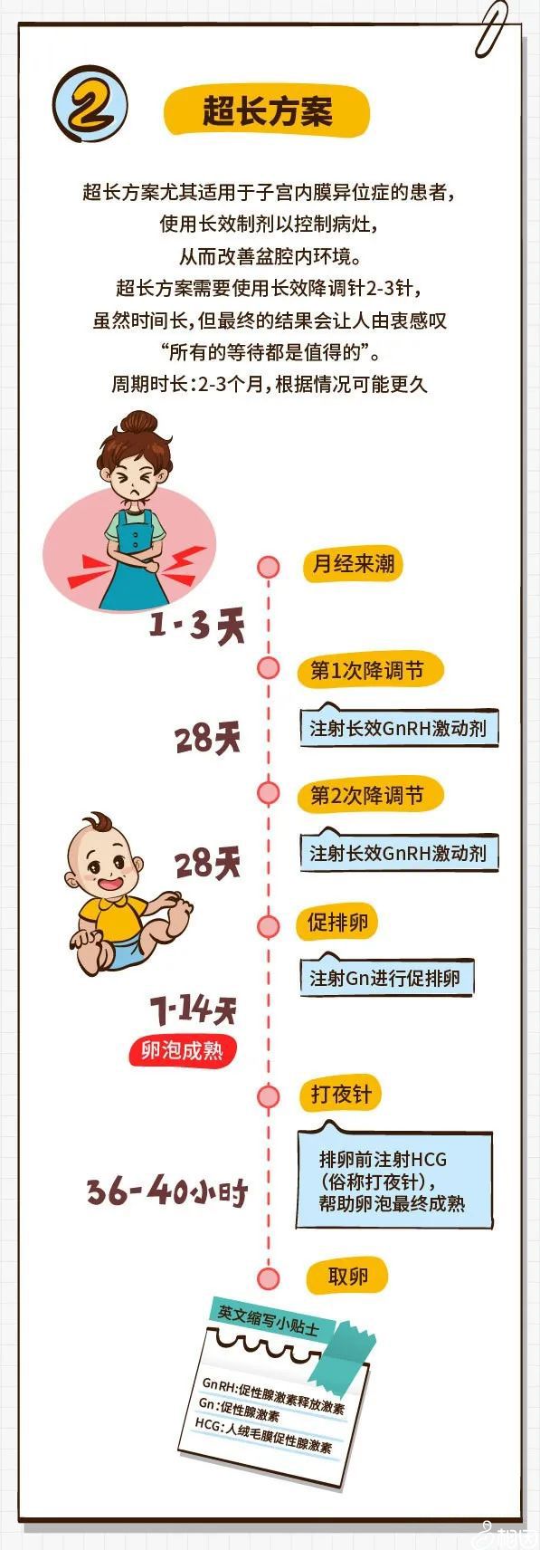 试管同志助孕费用
