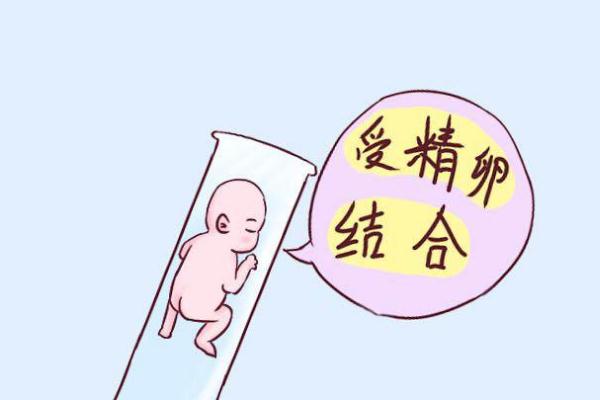 去南昌供卵代生地址,囊胚移植后的5个注意事项