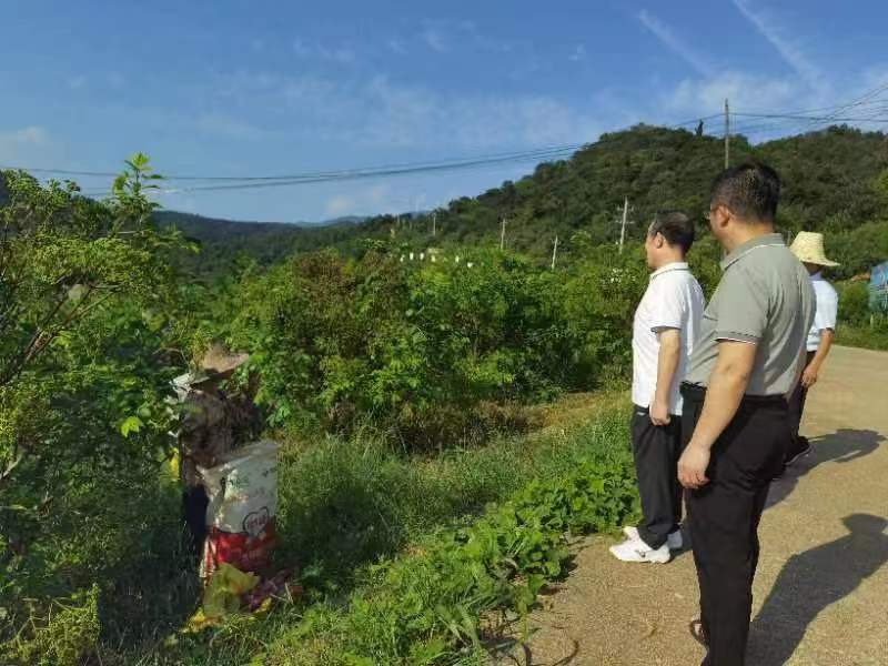 患有慢性盆腔炎可以三代试管医院联系方式婴儿吗